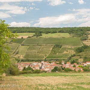 2020-07-20 - Dorpje en wijngaarden<br/>Vallée des Saints - Boudes - Frankrijk<br/>Canon EOS 5D Mark III - 55 mm - f/11.0, 0.02 sec, ISO 200