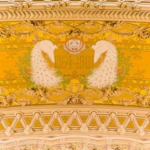 2020-07-21 - De art nouveau decoraties waren prachtig<br/>L'Opera de Vichy - Vichy - Frankrijk<br/>Canon EOS 5D Mark III - 70 mm - f/4.0, 0.2 sec, ISO 800