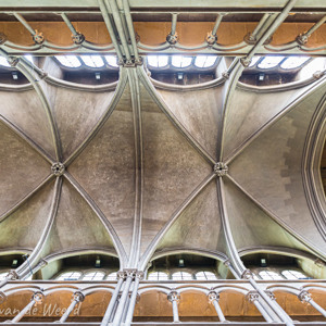 2020-07-22 - Het plafond en orgel van de kerk<br/>Eglise Notre-Dame - Dijon - Frankrijk<br/>Canon EOS 5D Mark III - 24 mm - f/4.0, 0.25 sec, ISO 1600