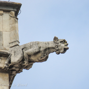 2020-07-22 - Close-up van een waterspuwer<br/>Dijon - Frankrijk<br/>Canon PowerShot SX70 HS - 247 mm - f/6.5, 1/800 sec, ISO 100