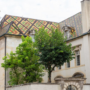 2020-07-22 - De daken zijn bijzonder met mooie patronen en kleuren<br/>Dijon - Frankrijk<br/>Canon EOS 5D Mark III - 64 mm - f/8.0, 1/80 sec, ISO 200