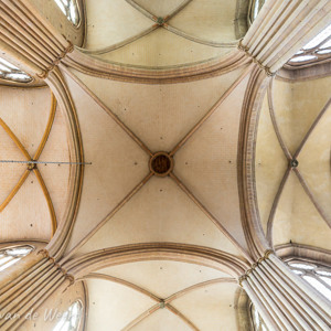 2020-07-22 - Plafond van de kathedraal<br/>Cathédrale Saint-Benigne - Dijon - Frankrijk<br/>Canon EOS 5D Mark III - 24 mm - f/8.0, 0.5 sec, ISO 800