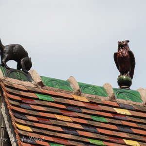 2020-07-22 - Kat en uil op het dak<br/>Dijon - Frankrijk<br/>Canon PowerShot SX70 HS - 86.6 mm - f/5.6, 1/1000 sec, ISO 100