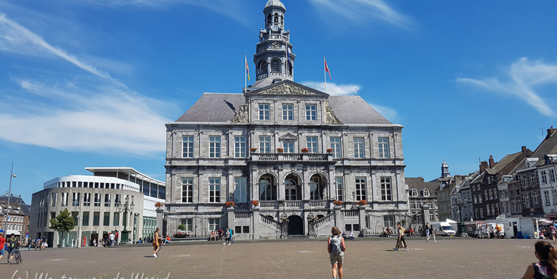 Reisdag foto