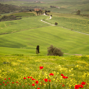 2013-04-27 - Voorjaar in Toscane<br/>Val d'Orcia - Pienza - Italië<br/>Canon EOS 7D - 65 mm - f/11.0, 0.01 sec, ISO 400