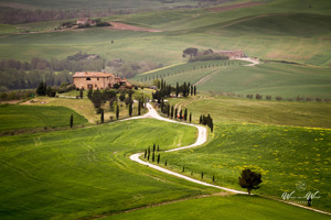 Pienza