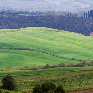 2013-04-28 - Schilderachtig Toscaans landschap<br/>Val d'Orcia - Pienza - Italië<br/>Canon EOS 7D - 200 mm - f/8.0, 1/640 sec, ISO 400