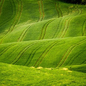 2013-04-28 - Lijnen in het glooiende landschap<br/>Val d'Orcia - Pienza - Italië<br/>Canon EOS 7D - 300 mm - f/8.0, 1/320 sec, ISO 400