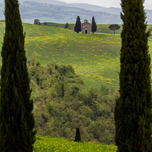 2013-04-28 - Zeer fotogeniek kapelletje tussen de cipressen<br/>Val d'Orcia - San Quirico d’ Orcia - Italië<br/>Canon EOS 7D - 105 mm - f/8.0, 1/640 sec, ISO 400