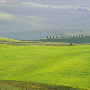 2013-04-28 - Panorama van het Toscaanse landschap<br/>Val d'Orcia - San Quirico d’ Orcia - Italië<br/>Canon EOS 7D - 320 mm - f/5.6, 1/2500 sec, ISO 400