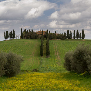 2013-04-28 - Toscaans landhuis met cipressen<br/>Val d'Orcia - San Quirico d’ Orcia - Italië<br/>Canon EOS 7D - 40 mm - f/11.0, 1/125 sec, ISO 400