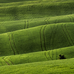 2013-04-28 - Bijzondere plooien in het landschap<br/>Val d'Orcia - Pienza - Italië<br/>Canon EOS 7D - 170 mm - f/8.0, 0.04 sec, ISO 200