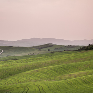 2013-04-29 - Het zachte licht van de vroege ochtend<br/>Val d'Orcia - Pienza - Italië<br/>Canon EOS 7D - 45 mm - f/16.0, 1.6 sec, ISO 100