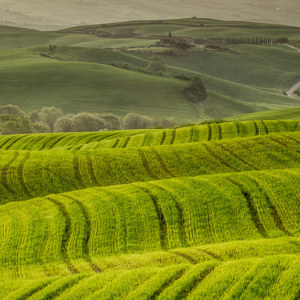 2013-04-29 - Heuvels en plooien tekenen het landschap hier<br/>Val d'Orcia - Pienza - Italië<br/>Canon EOS 7D - 105 mm - f/16.0, 1/6 sec, ISO 100