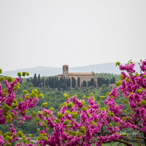 2013-04-30 - Mooi uitzicht op het klooster<br/>Sant Anna in Comprena - Castelmuzio - Italië<br/>Canon EOS 7D - 105 mm - f/8.0, 1/160 sec, ISO 400