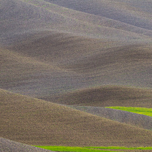 2013-04-30 - Bijzondere kleuiren en lijnenspel<br/>Taverne d'Arbia - Italië<br/>Canon EOS 7D - 330 mm - f/8.0, 1/800 sec, ISO 200