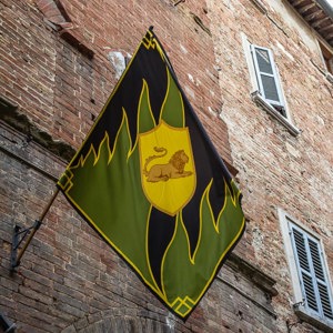 2013-04-30 - Mooie vlag van weer een andere wijk<br/>Montepulciano - Italië<br/>Canon EOS 7D - 28 mm - f/8.0, 0.04 sec, ISO 400