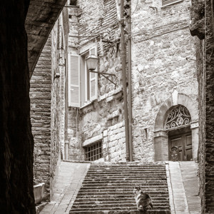 2013-05-02 - Poes als model op de trap<br/>Perugia - Italië<br/>Canon EOS 7D - 105 mm - f/8.0, 1/60 sec, ISO 400