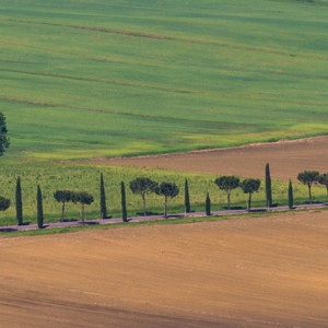 2013-05-04 - Strak landschap<br/>Panicale - Italië<br/>Canon EOS 7D - 400 mm - f/8.0, 1/800 sec, ISO 200
