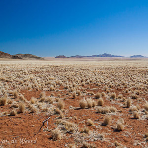 2007-08-07 - Kaal, droog en verlaten<br/>Onderweg - Keetmanshoop - Lüderitz - Namibie<br/>Canon EOS 30D - 17 mm - f/4.0, 1/1600 sec, ISO 200