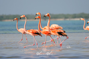 Cancun, Valladolid,