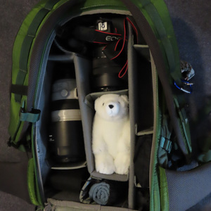 2022-07-23 - Onze ijsbeer souvenir mocht mee in de fototas van Wouter<br/><br/>Canon PowerShot SX70 HS - 6.2 mm - f/4.0, 1/15 sec, ISO 800