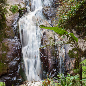 2009-08-06 - Waterval tijdens onze wandeling<br/>Tanah Rata - Maleisië<br/>Canon EOS 50D - 24 mm - f/6.3, 1/6 sec, ISO 200