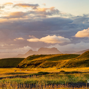 2023-09-09 - Prachtig warm avond-licht<br/>Reynisfjara - Vík - IJsland<br/>Canon EOS R5 - 105 mm - f/8.0, 0.01 sec, ISO 400