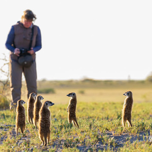 2024-05-04 - Carin bij de stokstaartjes<br/>Makgadikgadi NP - Gweta - Botswana<br/>Canon EOS R6m2 - 220 mm - f/6.3, 1/1600 sec, ISO 3200
