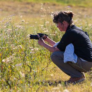 2024-05-03 - Carin die bloemen fotografeert<br/>Moremi Game Reserve - Shorobe (Okavango Delta) - Botswana<br/>Canon EOS R6m2 - 248 mm - f/7.1, 1/320 sec, ISO 320