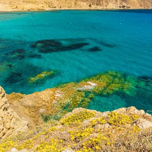 2023-04-26 - Helder water met mooie kleuren en gele bloemetjes<br/>Mirador de La Amatista - Parque Natural Cabo de Gata-Nija - Spanje<br/>Canon EOS R5 - 24 mm - f/11.0, 1/160 sec, ISO 200