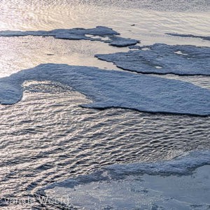 2022-07-16 - De walvis<br/>Pakijs grens op 81,39° NB - Spitsbergen<br/>Canon EOS R5 - 105 mm - f/11.0, 1/1000 sec, ISO 400