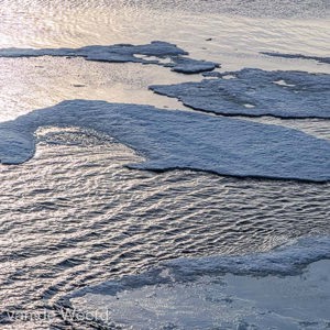 2022-07-16 - De walvis<br/>Pakijs grens op 81,39° NB - Spitsbergen<br/>Canon EOS R5 - 105 mm - f/11.0, 1/1000 sec, ISO 400