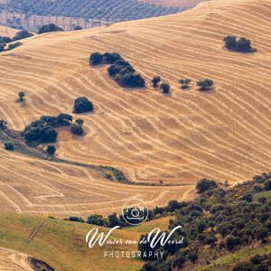 2023-05-02 - Panorama van het glooiende landschap<br/>Villanueva de la Concepción - Spanje<br/>Canon EOS R5 - 400 mm - f/8.0, 1/400 sec, ISO 200