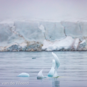 2022-07-19 - IJs-sculpturen in het water<br/>Torellneset - Spitsbergen<br/>Canon EOS R5 - 400 mm - f/5.6, 1/2000 sec, ISO 800