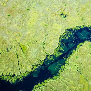 2024-05-01 - De rivier kronkelt door het groene landschap<br/>Onderweg (vliegtuigje) - Okavango Delta - airstrip Kwai R - Botswana<br/>Canon EOS R6m2 - 74 mm - f/7.1, 1/640 sec, ISO 800