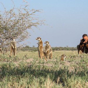 2024-05-04 - Wouter bij de stokstaartjes<br/>Makgadikgadi NP - Gweta - Botswana<br/>Canon PowerShot SX70 HS -  - , , ISO 100