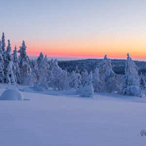 2011-02-12 - Net na zonsondergang<br/>Iso Syöte - Finland<br/>Canon EOS 7D - 24 mm - f/11.0, 0.8 sec, ISO 100
