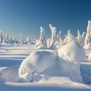 2011-02-13 - Sneeuwvormen<br/>Iso Syöte - Finland<br/>Canon EOS 7D - 24 mm - f/4.0, 1/1250 sec, ISO 200