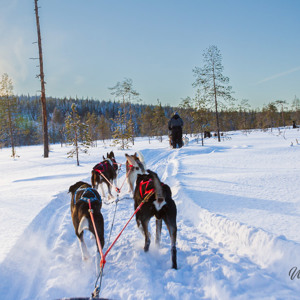 2011-02-09 - Met de husky en slede op pad<br/>Finn Jan Huskyfarm - Jurmu - Finland<br/>Canon EOS 7D - 24 mm - f/11.0, 1/125 sec, ISO 400