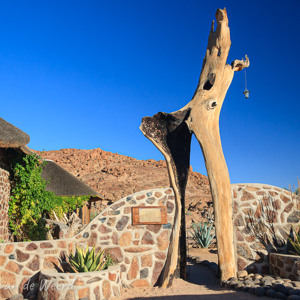 2007-08-15 - Bijzondere pport<br/>Brandberg White Lady Lodge - Uis - Namibie<br/>Canon EOS 30D - 17 mm - f/13.0, 0.01 sec, ISO 200
