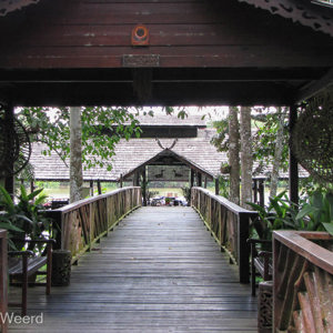 2009-08-19 - Het houten pad naar de eet-ruimte bij de rivier<br/>Sukau Rainforest Lodge - Kinabatangan River - Maleisië (Borneo)<br/>Canon PowerShot SX1 IS - 7.4 mm - f/3.2, 1/80 sec, ISO 200