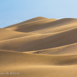 2021-10-26 - Prachtige lijnen en licht in de duinen<br/>Las Dunas de Maspalomas - Maspalomas - Gran Canaria - Spanje<br/>Canon EOS 5D Mark III - 200 mm - f/5.6, 1/400 sec, ISO 320