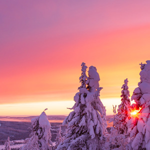 2011-02-11 - Kleurige zonsopkomst<br/>Iso Syöte - Finland<br/>Canon EOS 7D - 24 mm - f/8.0, 0.05 sec, ISO 200