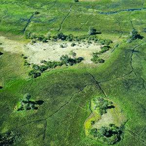 2024-04-29 - Hier en daar een eilandje met bomen<br/>Onderweg (vliegtuigje) - Kasane - airstrip Jedibe – Kal - Botswana<br/>SM-G981B - 5.4 mm - f/1.8, 1/1250 sec, ISO 50