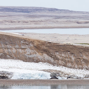 2022-07-19 - Drie ijsberen op de richel<br/>Spitsbergen<br/>Canon EOS R5 - 400 mm - f/8.0, 1/160 sec, ISO 800