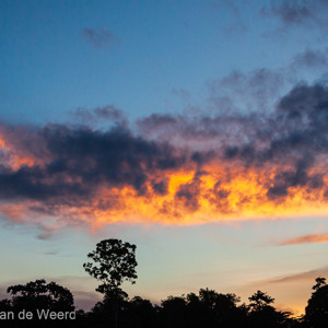 2009-08-19 - Een bijzondere oranje wolk<br/>Kinabatangan rivier - Sukua - Maleisië<br/>Canon EOS 50D - 45 mm - f/4.0, 1/320 sec, ISO 800