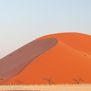 2007-08-10 - De lage zon zorgt voor mooie kleuren<br/>Sossusvlei - Sesriem - Namibie<br/>Canon EOS 30D - 64 mm - f/8.0, 1/40 sec, ISO 200