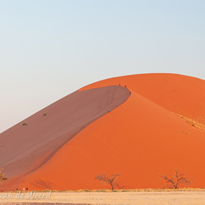 2007-08-10 - De lage zon zorgt voor mooie kleuren<br/>Sossusvlei - Sesriem - Namibie<br/>Canon EOS 30D - 64 mm - f/8.0, 1/40 sec, ISO 200
