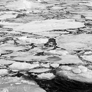 2022-07-16 - Pakijs in zwart-wit<br/>Pakijs grens op 81,39° NB - Spitsbergen<br/>Canon EOS R5 - 100 mm - f/8.0, 1/500 sec, ISO 200